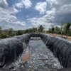 Bạt lót hồ chứa nước HDPE tưới cây