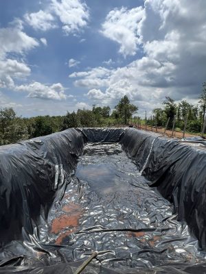 Bạt lót hồ chứa nước HDPE tưới cây