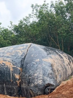 Bạt lót hầm Biogas HDPE