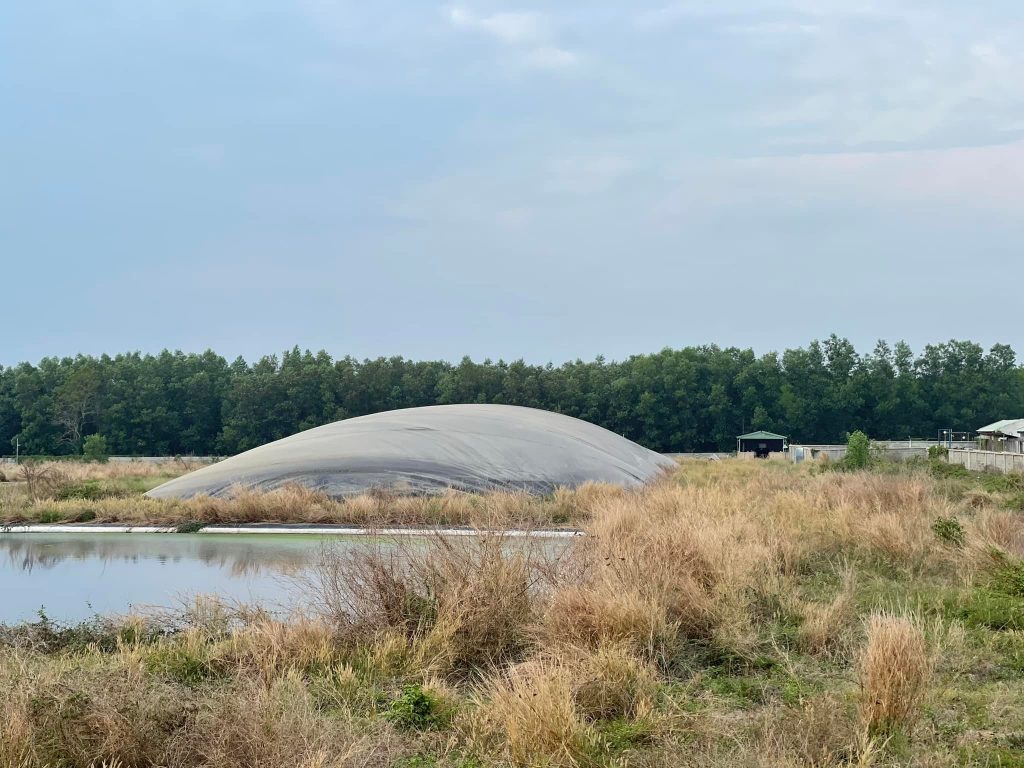 Hầm biogas phủ bạt HDPE
