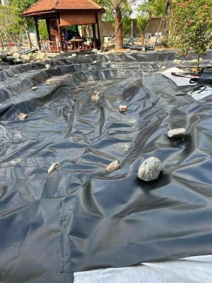 Bạt nhựa HDPE lót hồ sen hồ súng