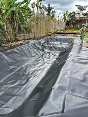 Bạt lót hồ sen hồ súng HDPE
