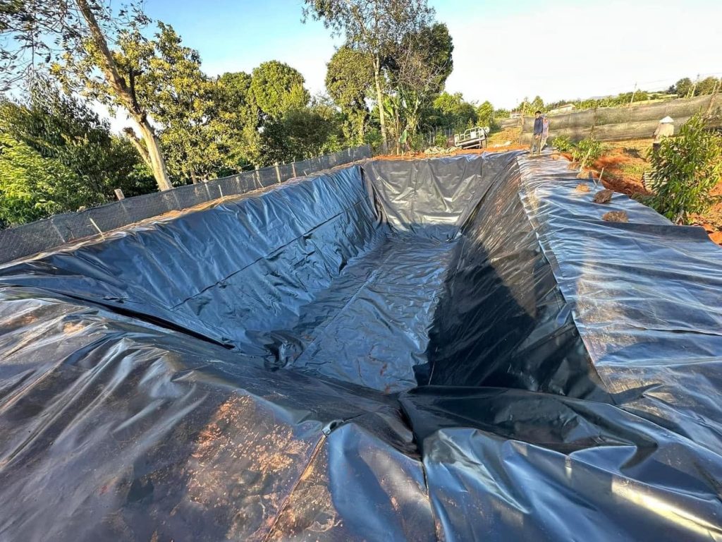 Bạt lót hồ nuôi cá Koi HDPE