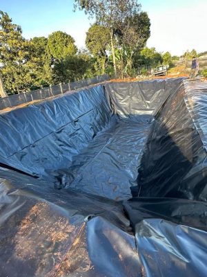 Bạt lót hồ sen hồ súng HDPE