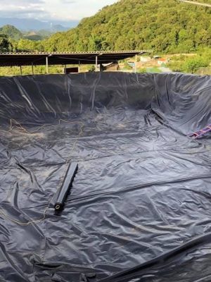 Bạt nhựa HDPE lót hồ sen hồ súng