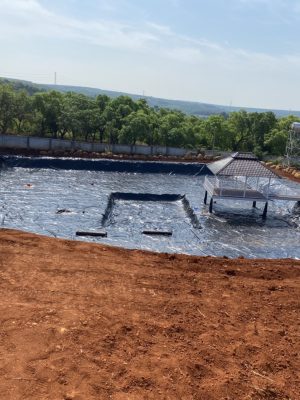 Bạt nhựa HDPE lót hồ sen hồ súng
