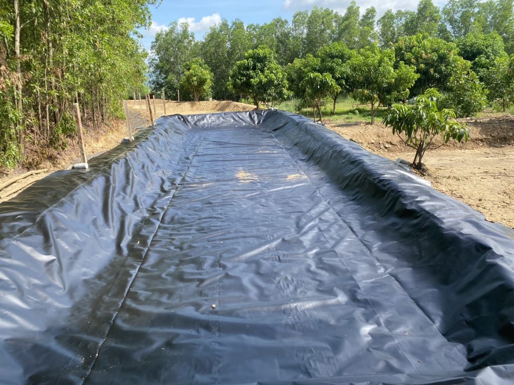 Bạt lót hồ nuôi cá Koi HDPE
