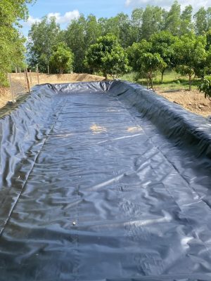 Bạt lót hồ nuôi cá Koi HDPE