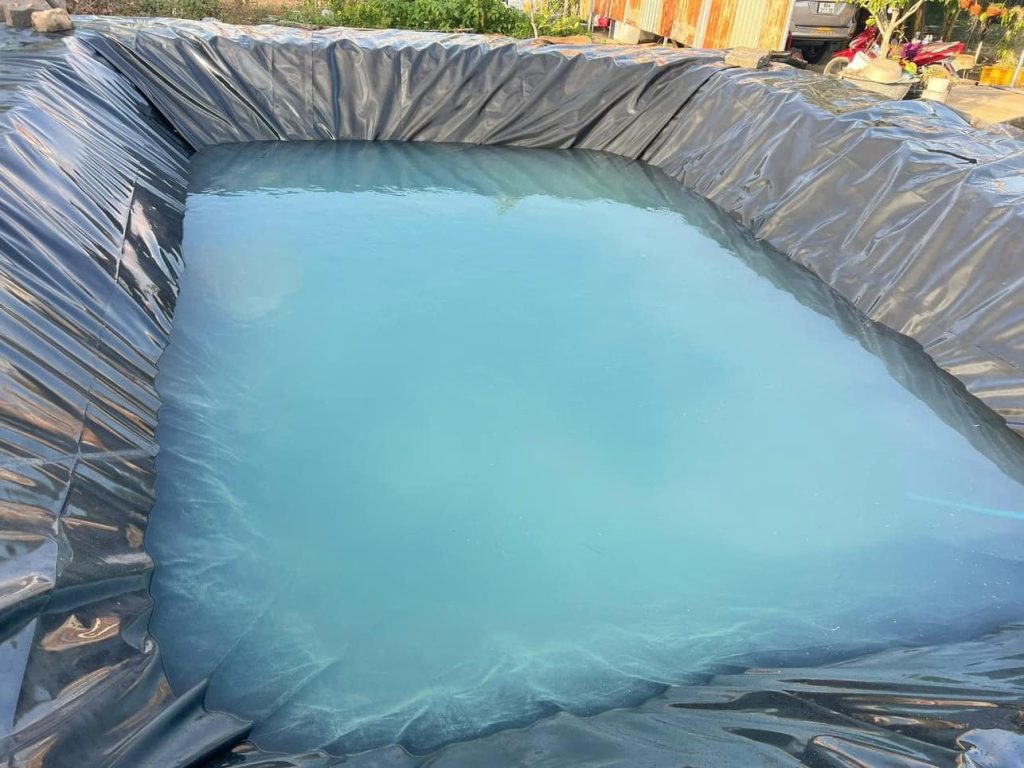 Bạt lót hồ cá Koi HDPE