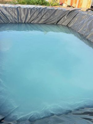 Bạt nhựa HDPE lót hồ sen hồ súng