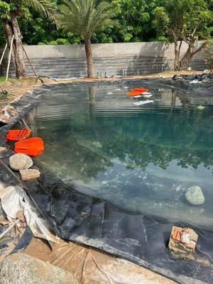 Bạt nhựa HDPE lót hồ sen hồ súng