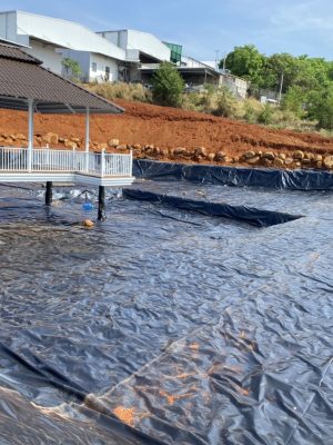 Bạt nhựa HDPE lót hồ cá Koi