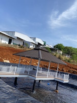 Bạt nhựa HDPE lót hồ cá Koi