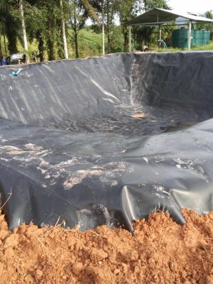 Bạt lót hồ cá Koi HDPE