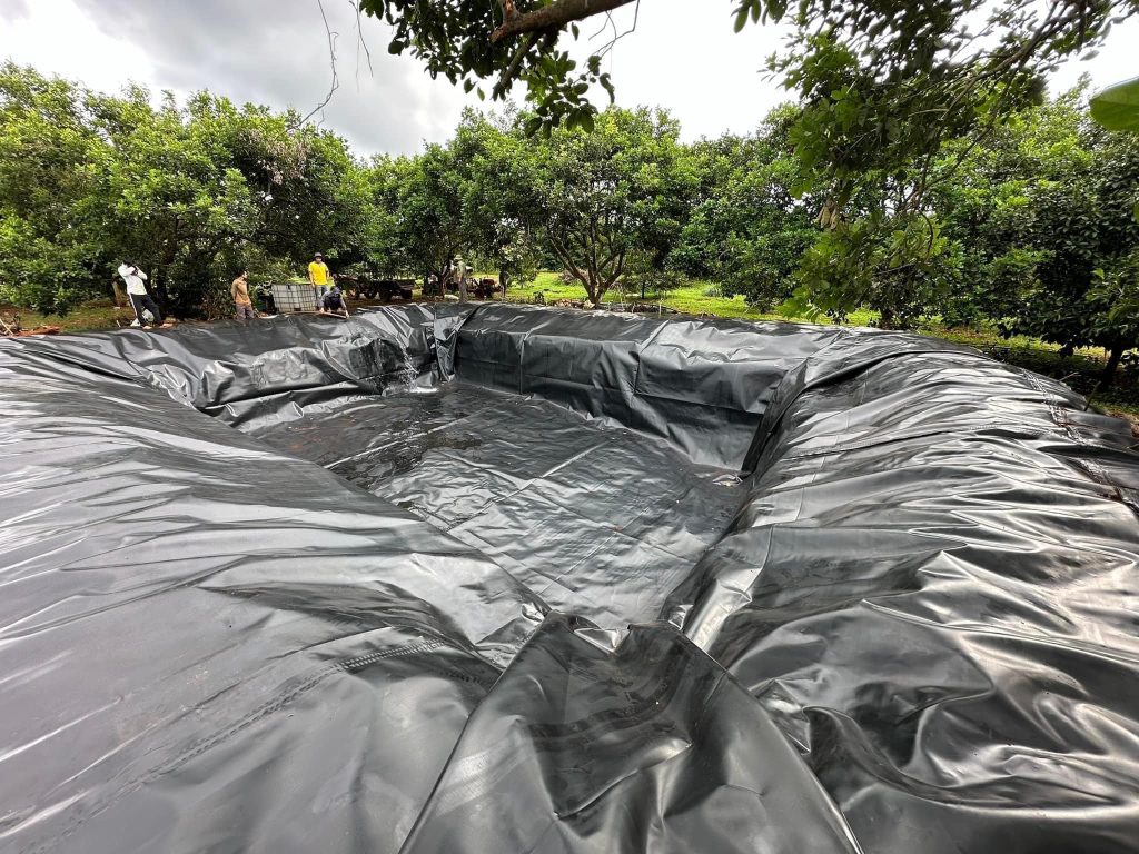 Bạt nhựa HDPE lót hồ cá Koi