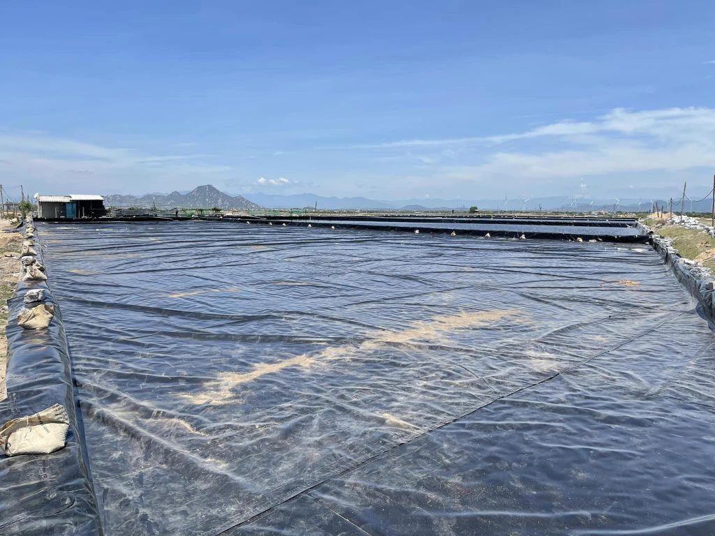 Bạt lót ruộng muối HDPE Bạt lót ruộng muối HDPE