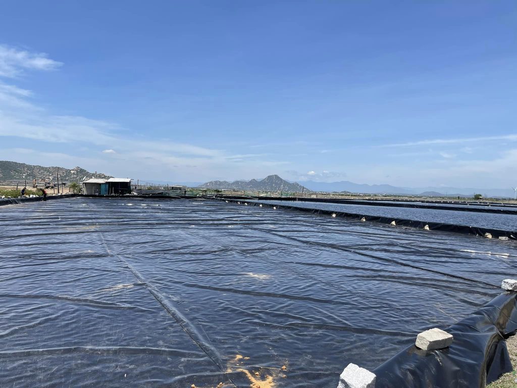 Bạt lót ruộng muối HDPE Bạt lót ruộng muối HDPE