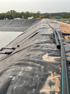 Bạt lót ao hồ nuôi tôm HDPE