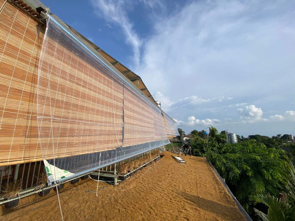 Bạt trong suốt che mưa tự cuốn