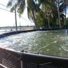 Bể bạt nuôi cá HDPE nuôi lươn ốc ếch thuỷ sản