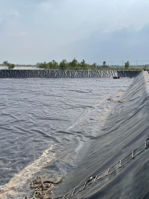 Bạt nhựa HDPE lót ao hồ nuôi cá