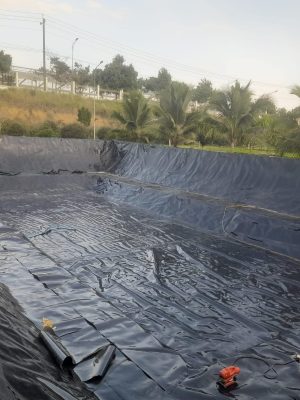 Bạt lót hồ chứa nước HDPE tưới cây