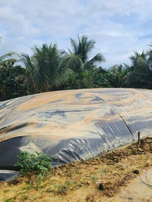 Túi bạt Biogas HDPE