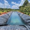 Bạt lót hồ sen hồ súng HDPE